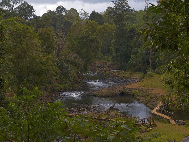 Bolaven Plateau